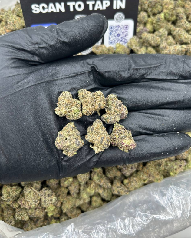 CANDY PLUG
