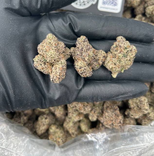 BLACK CHERRY GELATO
