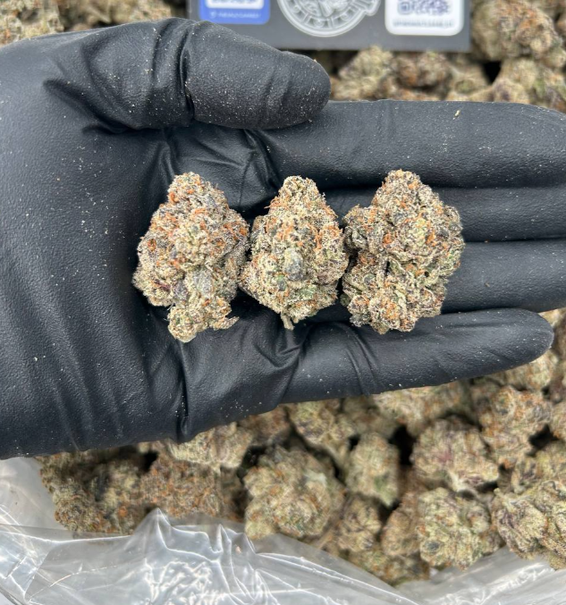 BLACK OPIUM