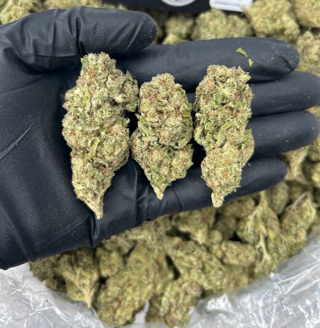 COCAINA