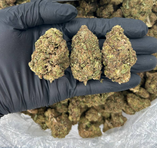 GELATO TOPPINZ
