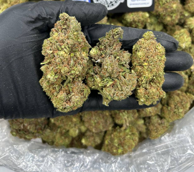 JACK HERER