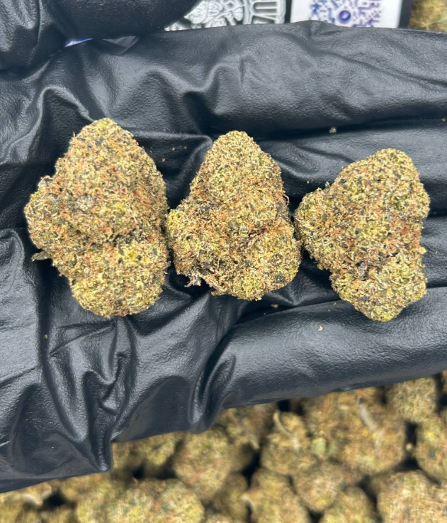 LEMON CHERRY BOLO