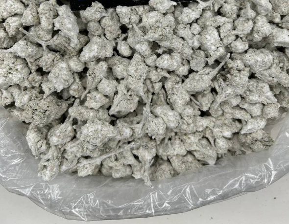 SNOWBALLS – MAC1