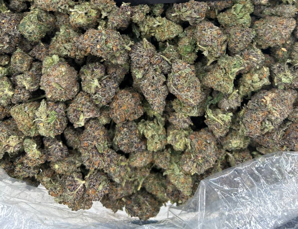 PINK BUBBLEGUM GELATO