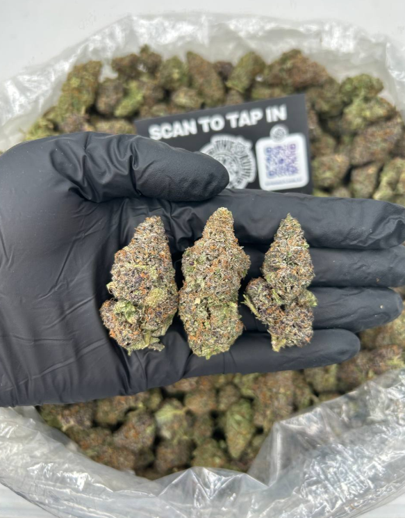 PINK BUBBLEGUM GELATO