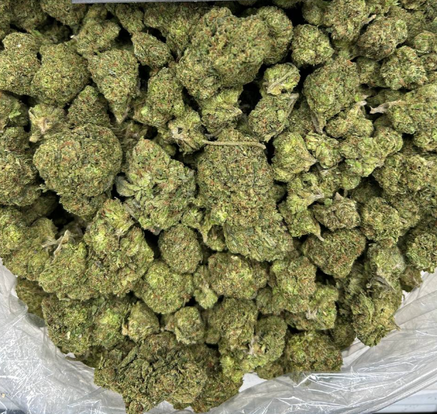 BLUE CANDY POPZ
