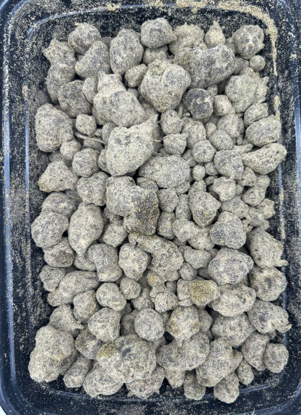 MOON ROCKS