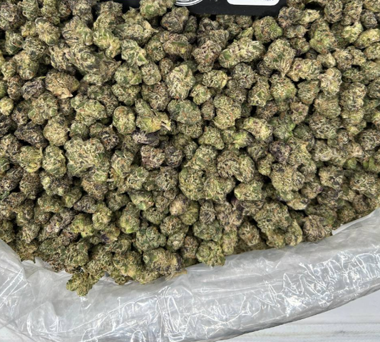 BLUE CHEW EXOTIC