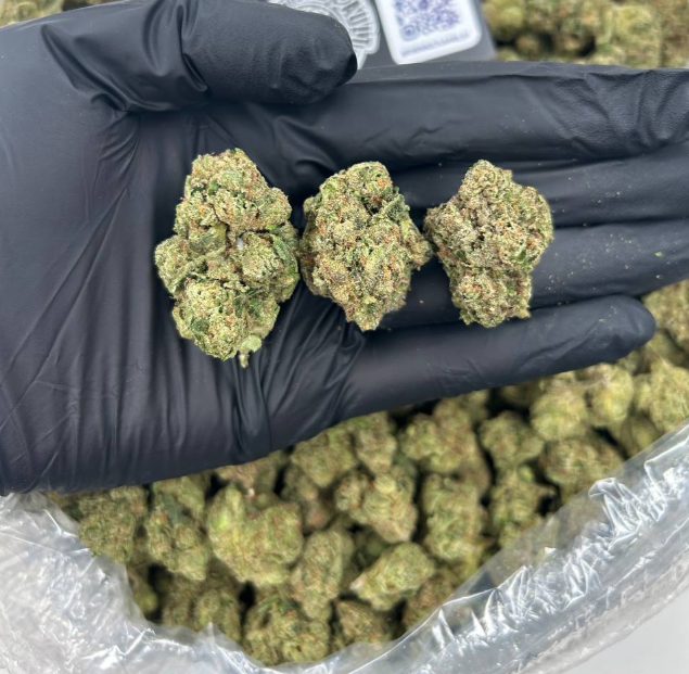 CANDY BOMB