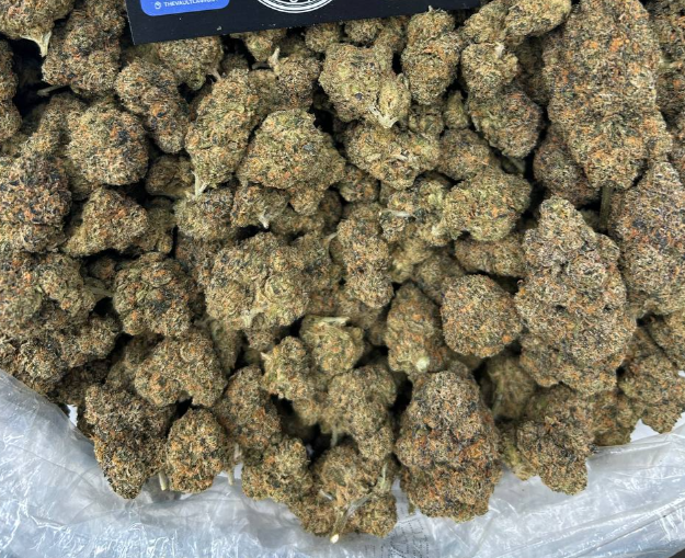 GELATO CREAM