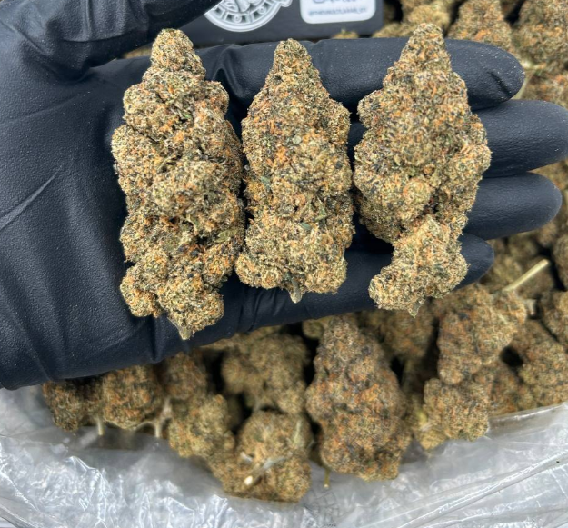 GELATO CREAM