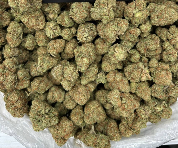 GELATO KING