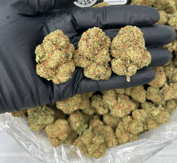 GELATO KING