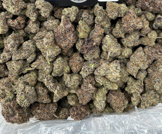 GELATO MELTZ