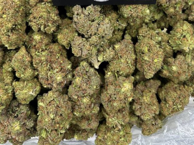 JACK HERER