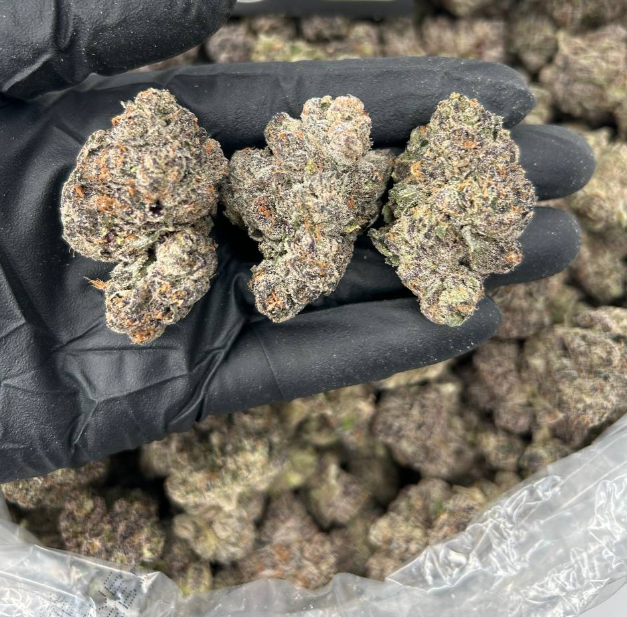 WHITE SUPREME GELATO