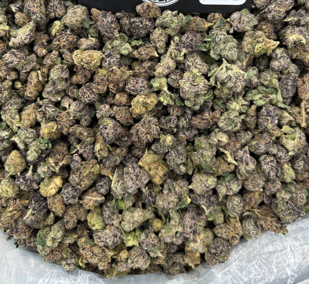 INDOORS PINK RUNTZ
