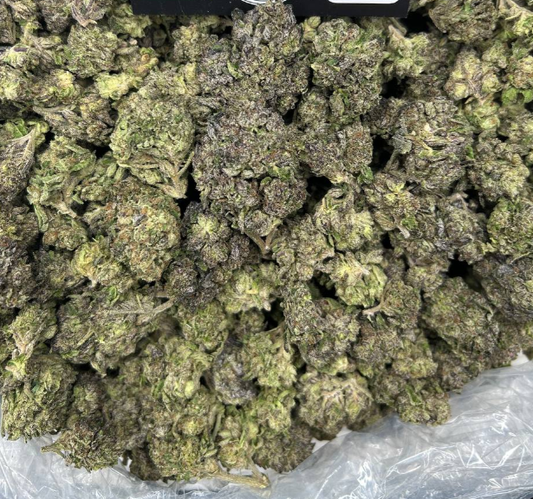 MOTION GELATO
