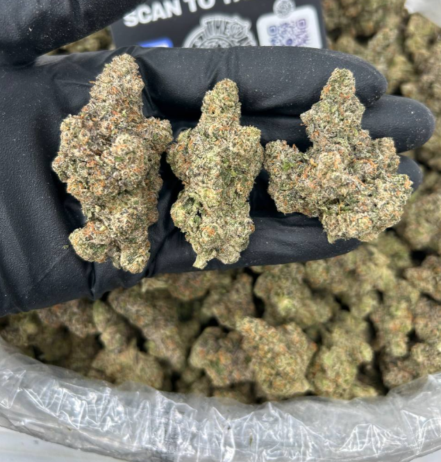 GAS RUNTZ